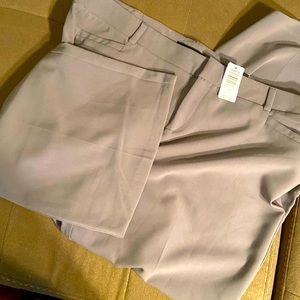 NWT Torrid Work/ Dress Pants